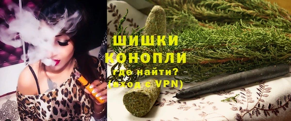 дживик Баксан
