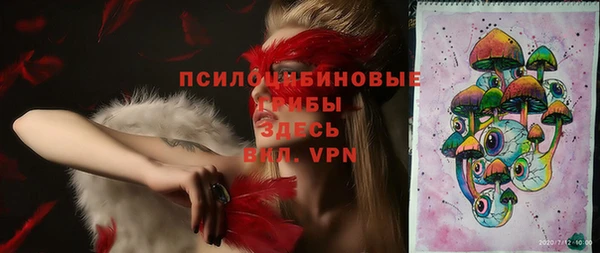 дурь Аркадак