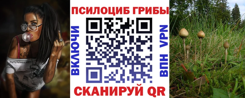 гидра ССЫЛКА  Пыталово  Псилоцибиновые грибы Psilocybine cubensis 